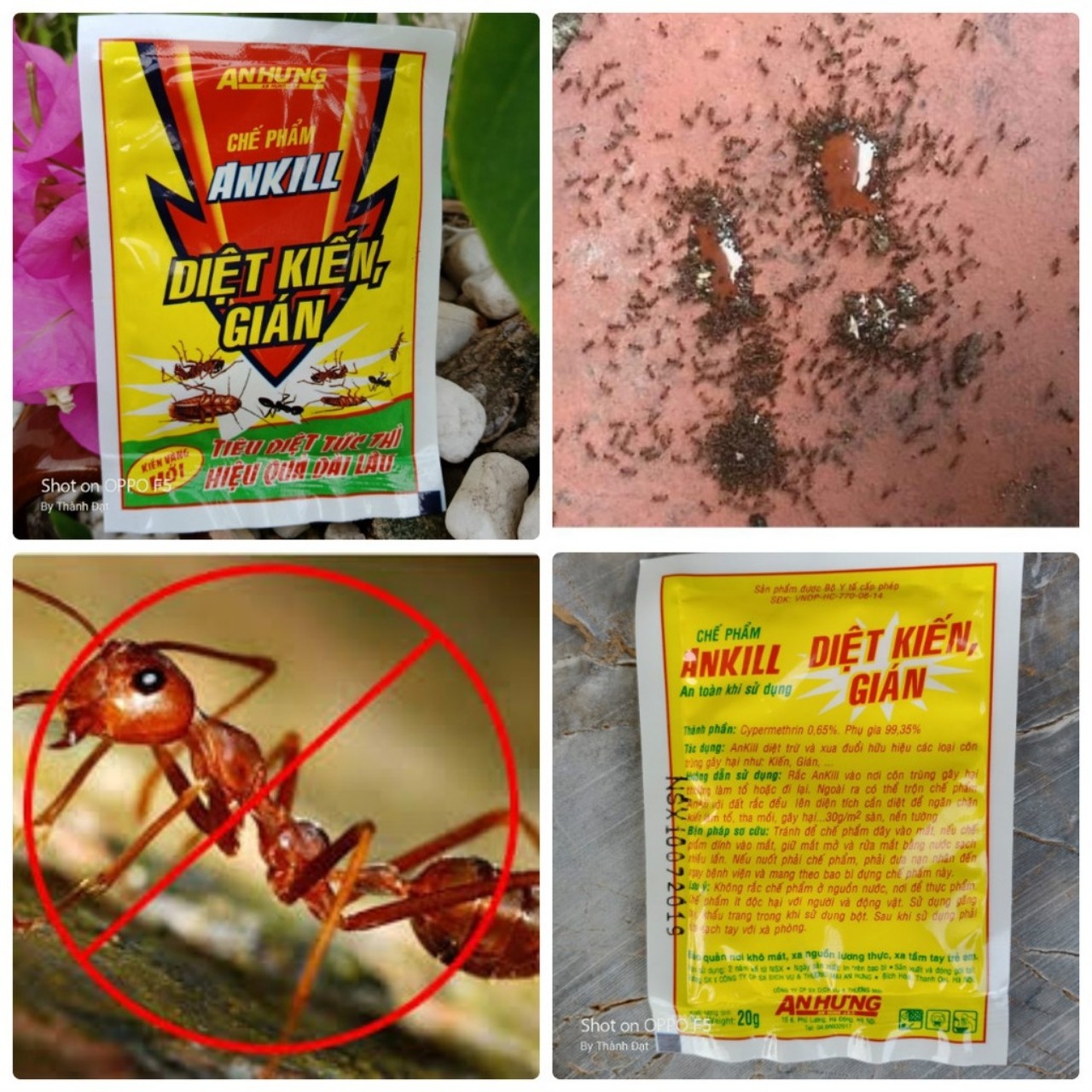 Đồ dùng làm vườn - Thuốc diệt kiến ,gián gói dạng bột (20gr)