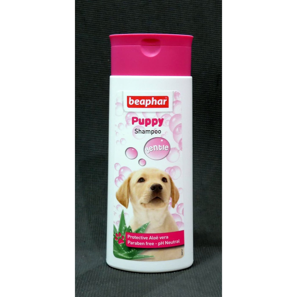 [HCM]Sữa Tắm Dành Cho Chó Con Beaphar Puppy (Nhập khẩu từ Hà Lan)