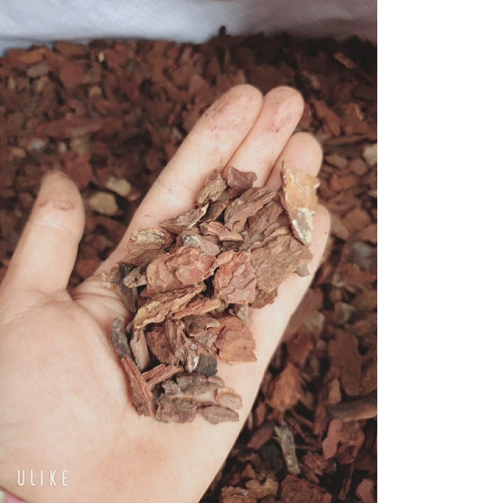 5kg VỎ THÔNG ĐỎ QUẢNG BÌNH ( #phanbon, #vattu, #caycanh)