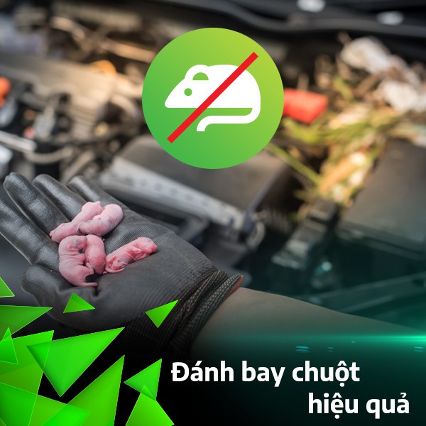 xịt chống chuột & làm sạch dộng cơ oto