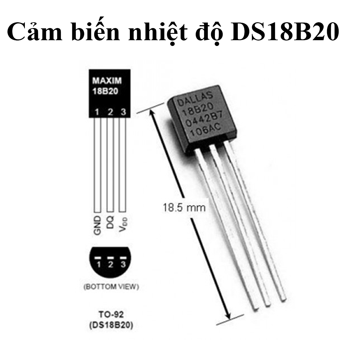 Cảm biến nhiệt độ DS18B20 TO-92