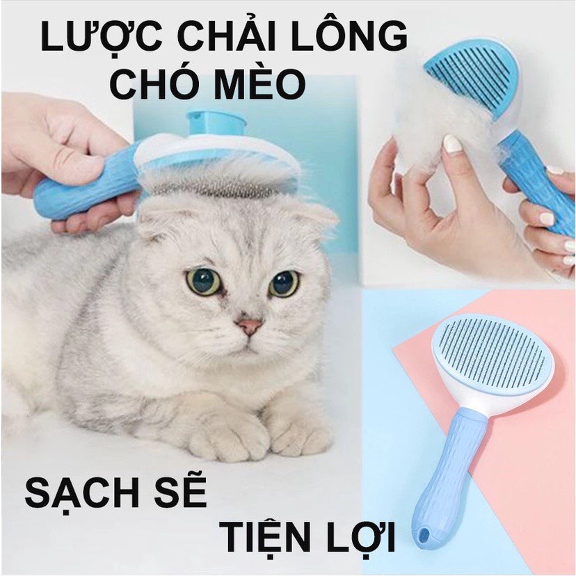 Lược chải lông chó Lược chải lông mèo kém nút bấm