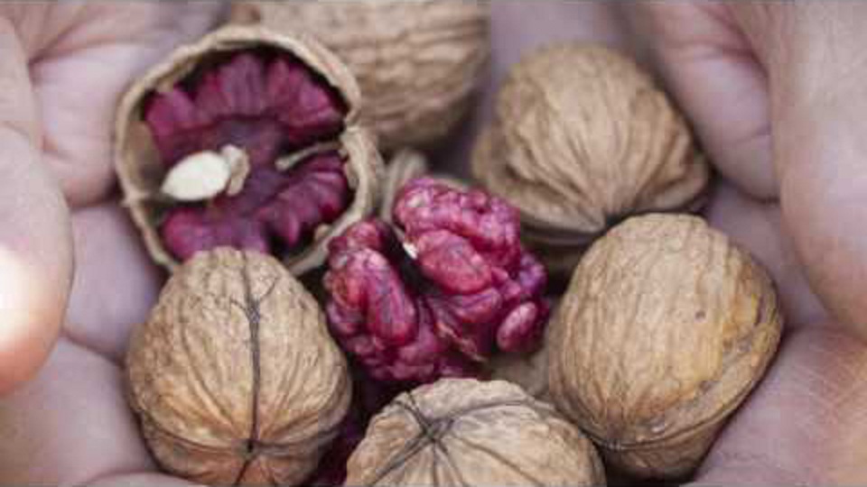 [HCM]Óc chó đỏ 1 kg