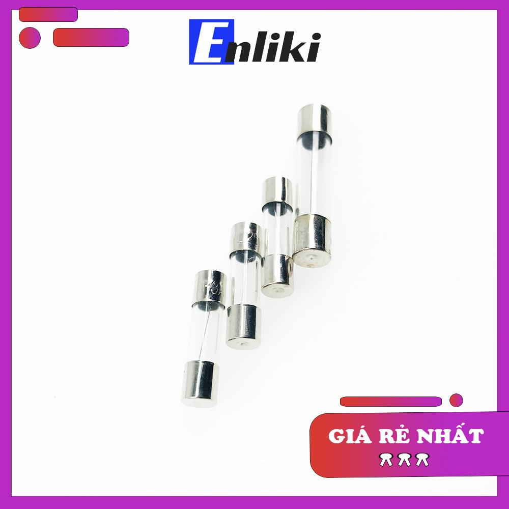 Bộ 2 Chiếc Cầu Chì 10A 5x20mm 250VAC