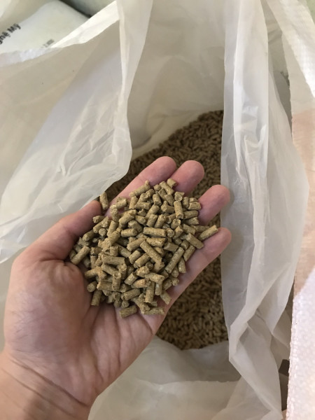 cám vịt và ngan đẻ siêu trứng cargill