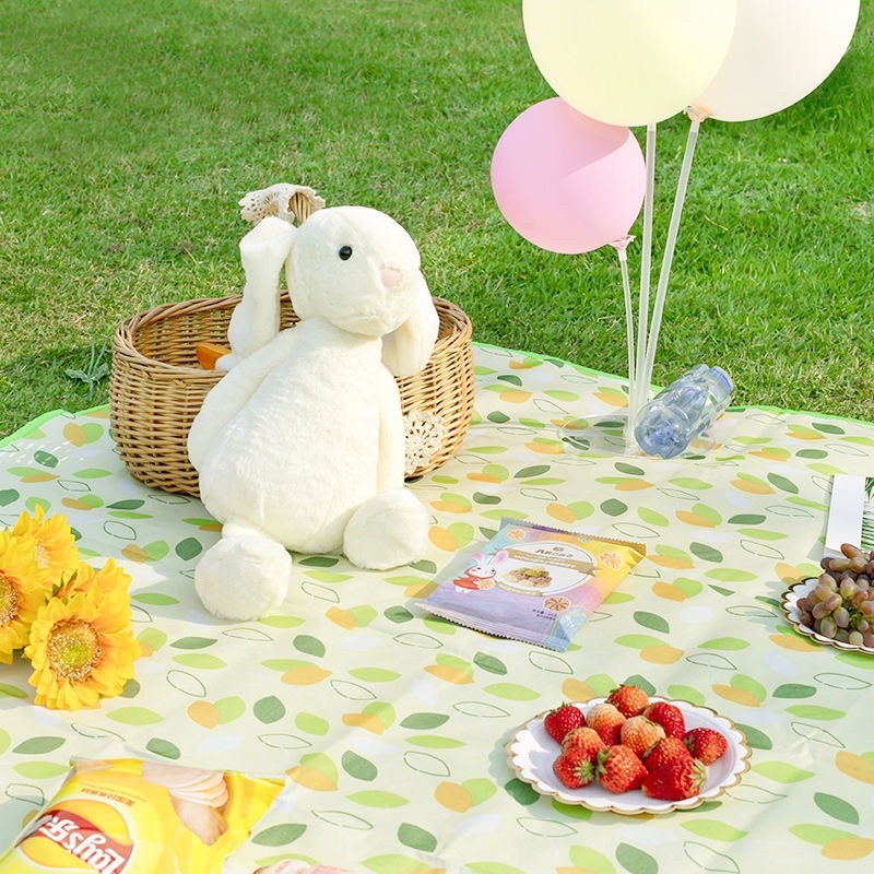 Thảm picnic thảm dã ngoại decor chống thấm