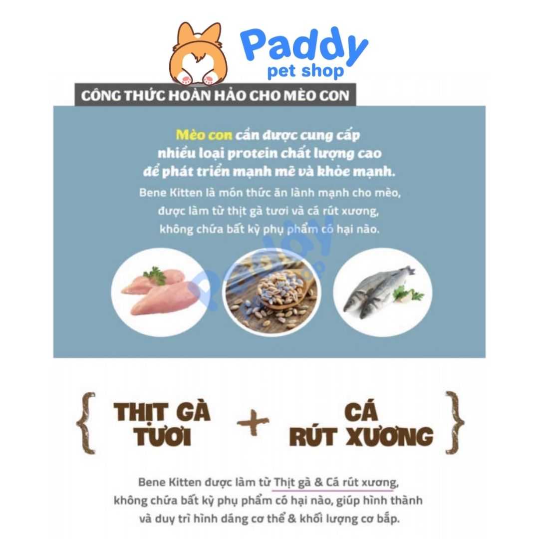 Hạt Mèo Con Hữu Cơ Natural Core Kitten