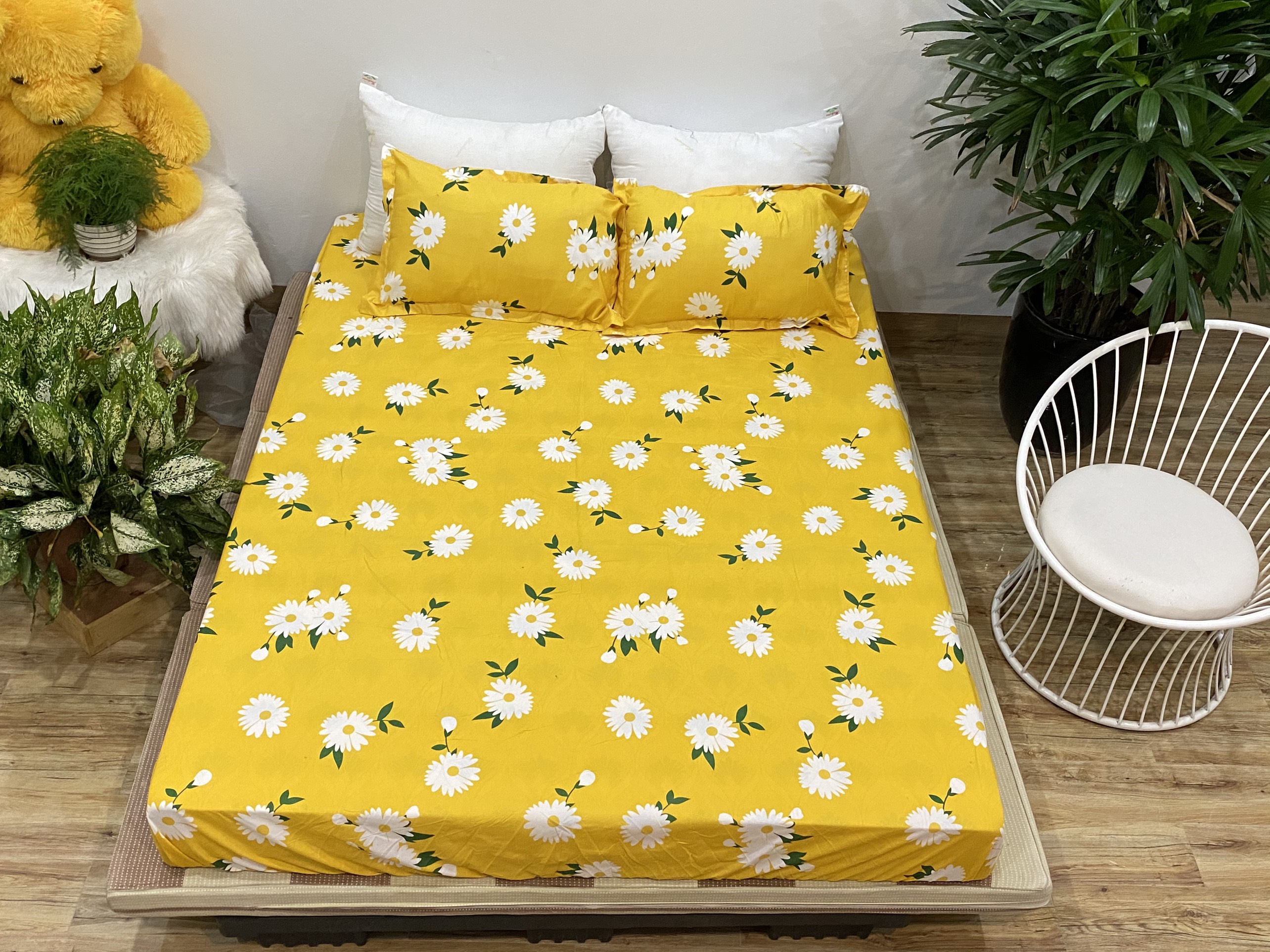 Bộ Ga Gối 3 Món ( Gồm 1 Ga Bo Chun + 2 Vỏ Gối) Mã CH213
