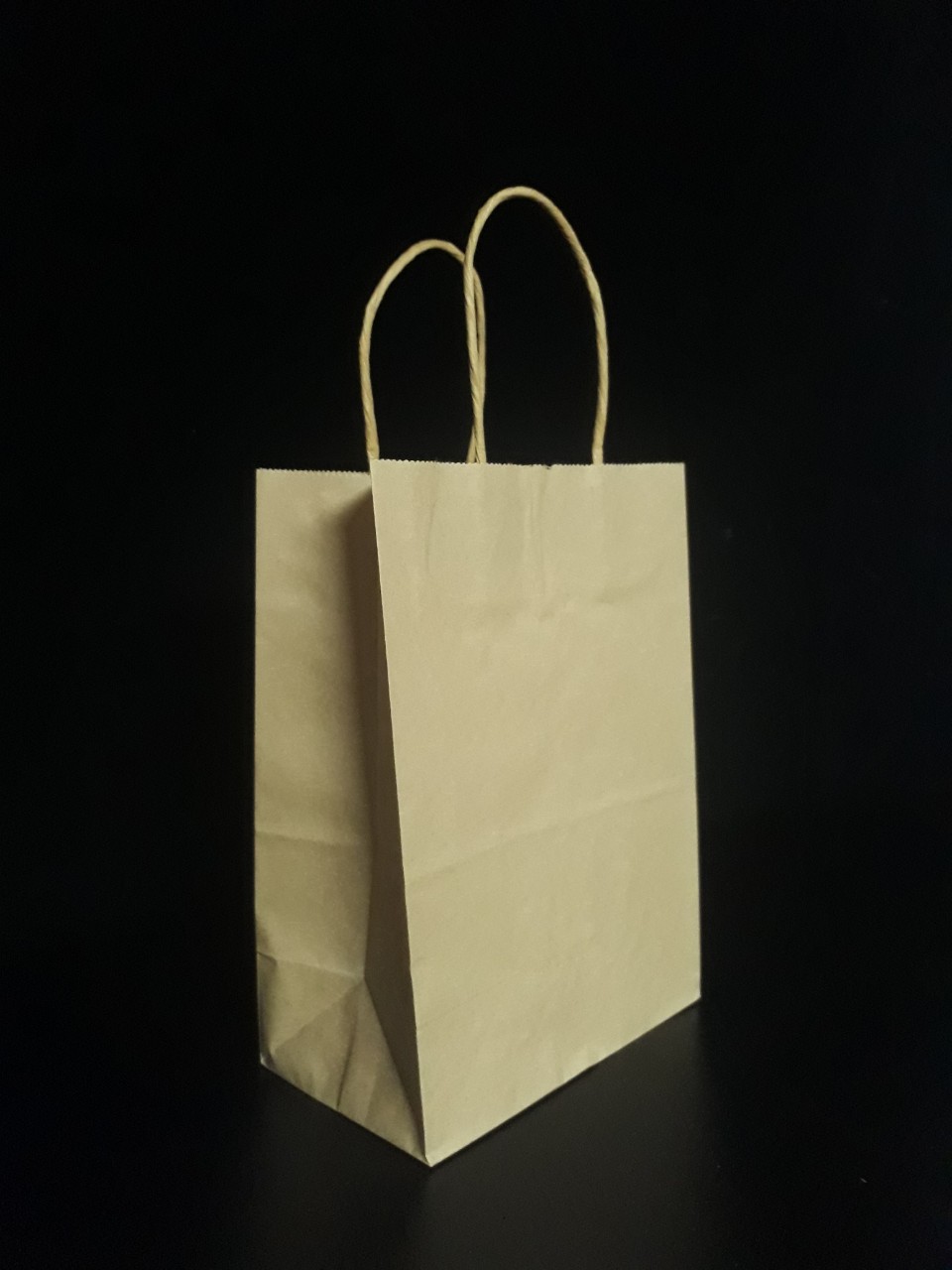 Túi giấy kraft take away (100 túi)