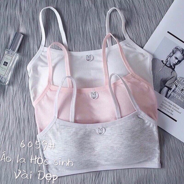 [Hoàn tiền 25%] Áo Bra Thỏ Học Sinh Cotton Đẹp