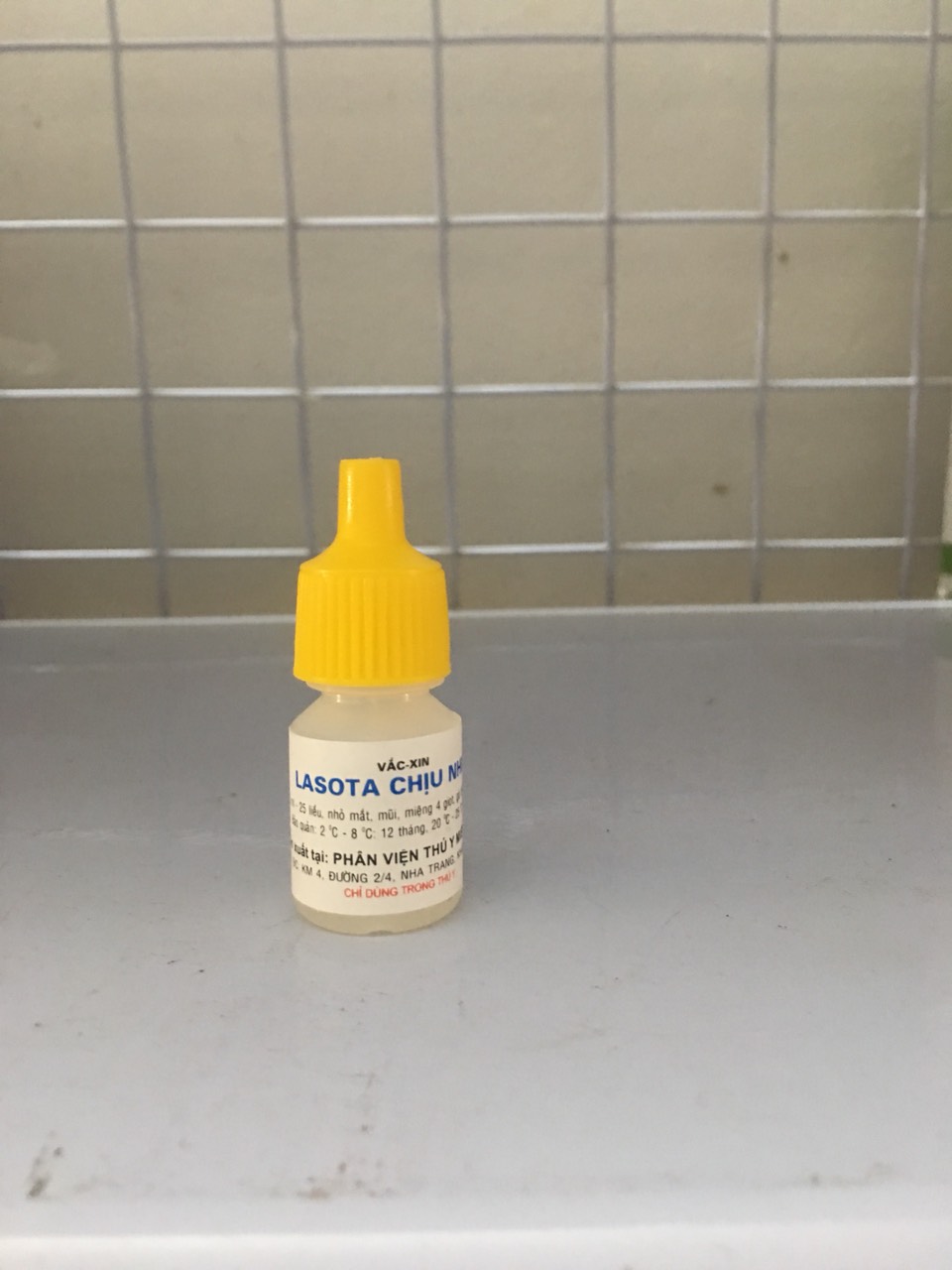 Lasota chịu nhiệt 25 liều dùng cho gà, chim