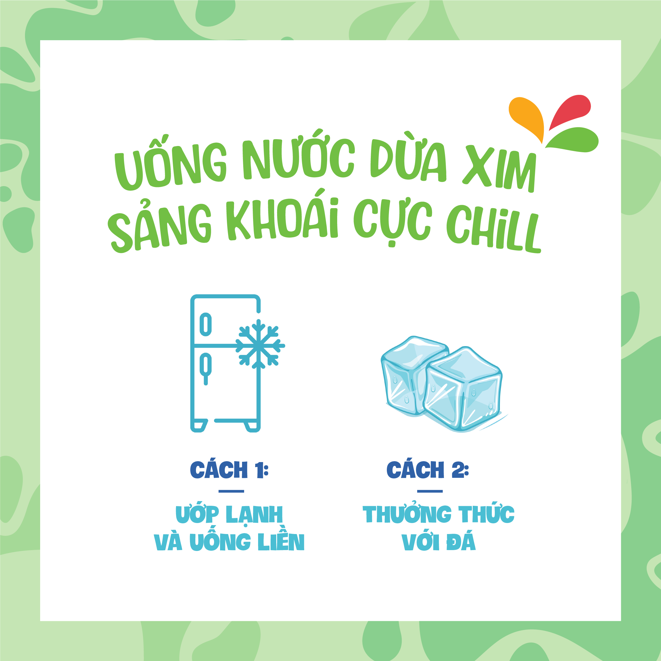 [HSD:T10/2025]Combo 6 Chai Nước Dừa Xim Chai PET 350ml