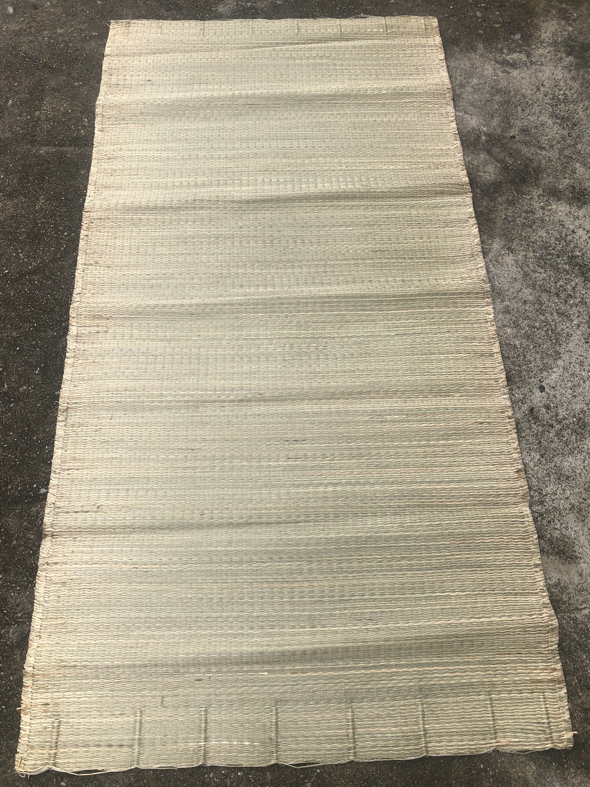 Chiếu Cói Trắng Siêu Rẻ Kích Thước 1m2 / 1m5 / 1m6