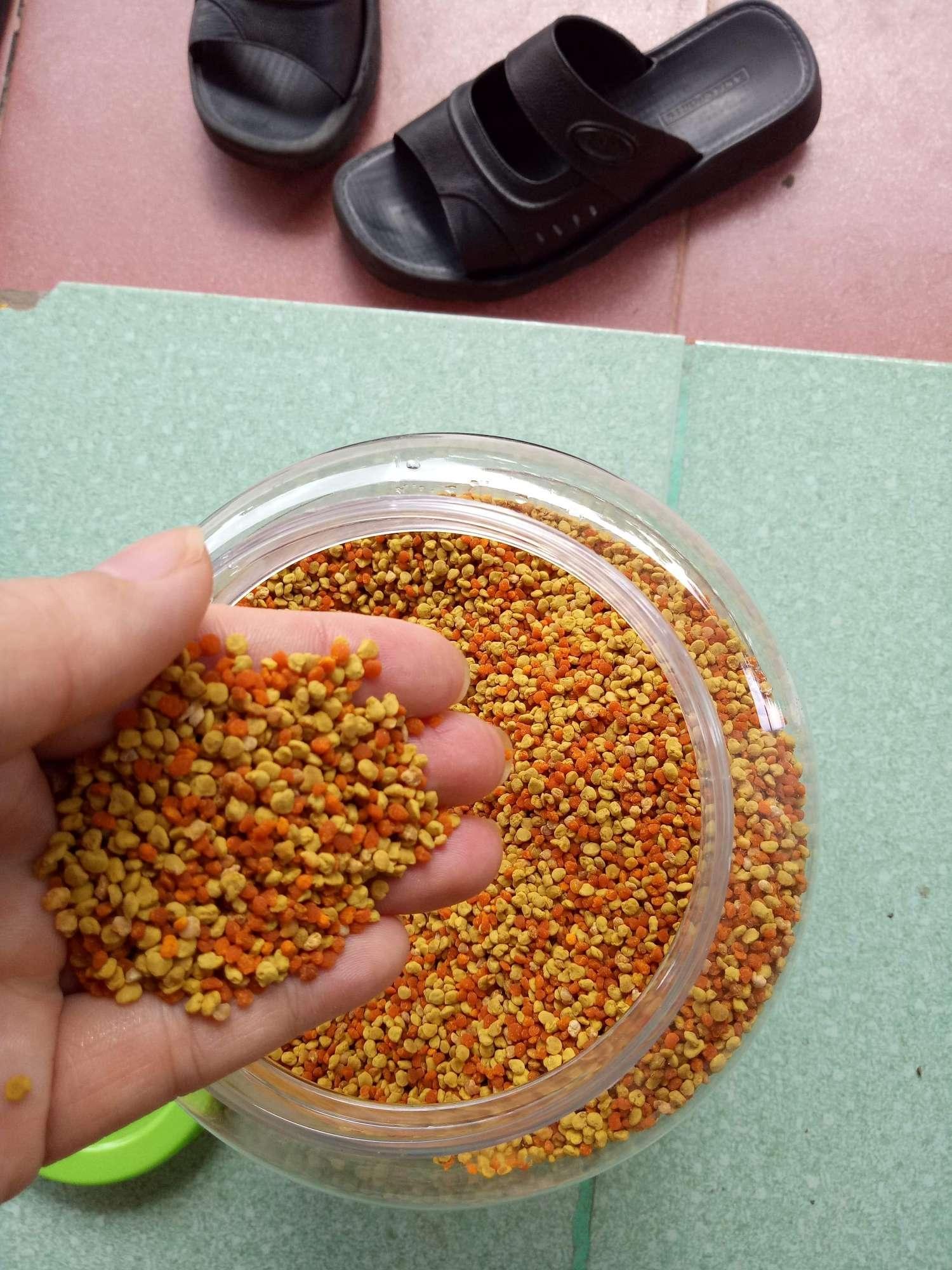 500g Phấn hoa rừng hảo hạng