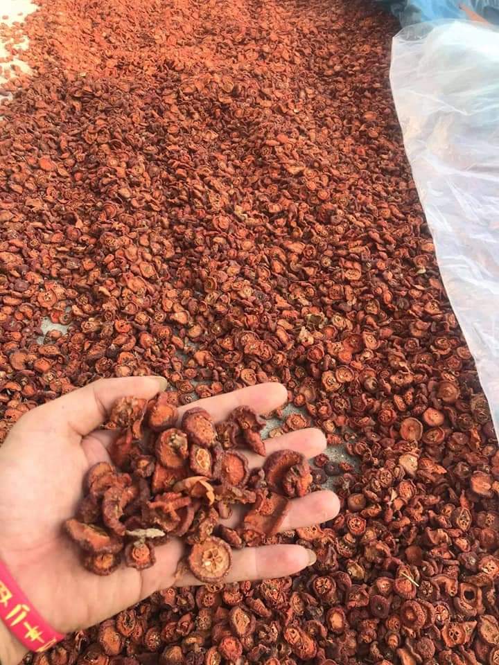 Combo 5kg táo mèo khô Yên Bái, táo mèo ngâm r, giá rẻ chất lượng, cam kết bảo hành, ngâm r hoặc làm mứt, sắc uống rất thơm