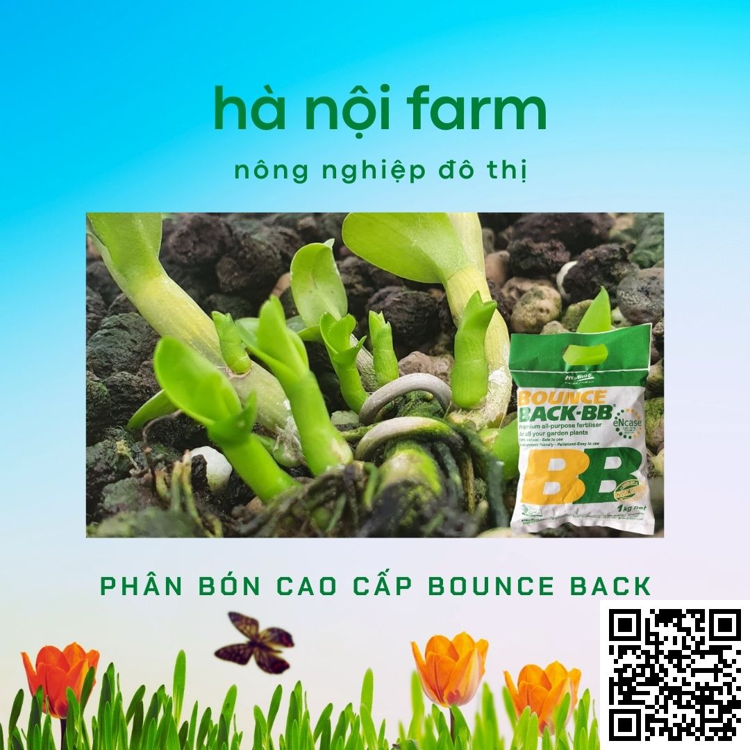 Phân hữu cơ BB, Phân gà úc ( Bounce back ) Australia. Gói 1kg
