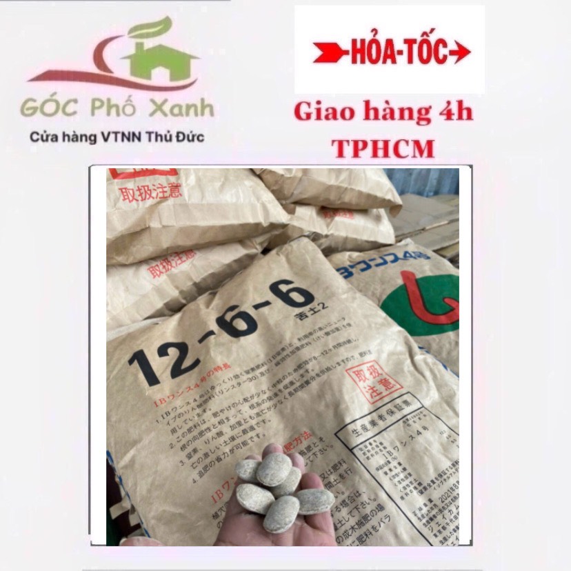 Phân tan chậm Hạt bàng Nhật Bản 12-6-6