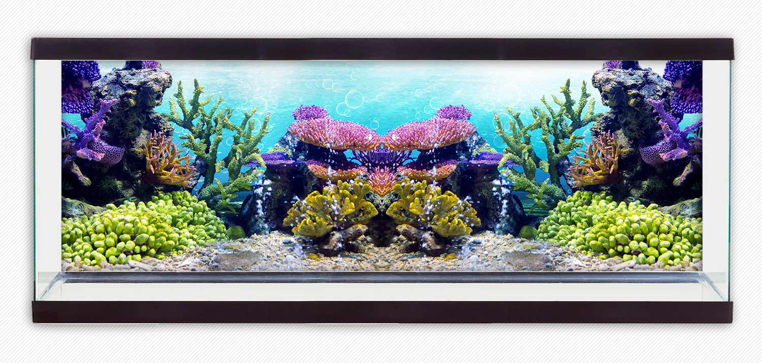 Tranh dán hồ cá HD San hô Aquarium tank - 003