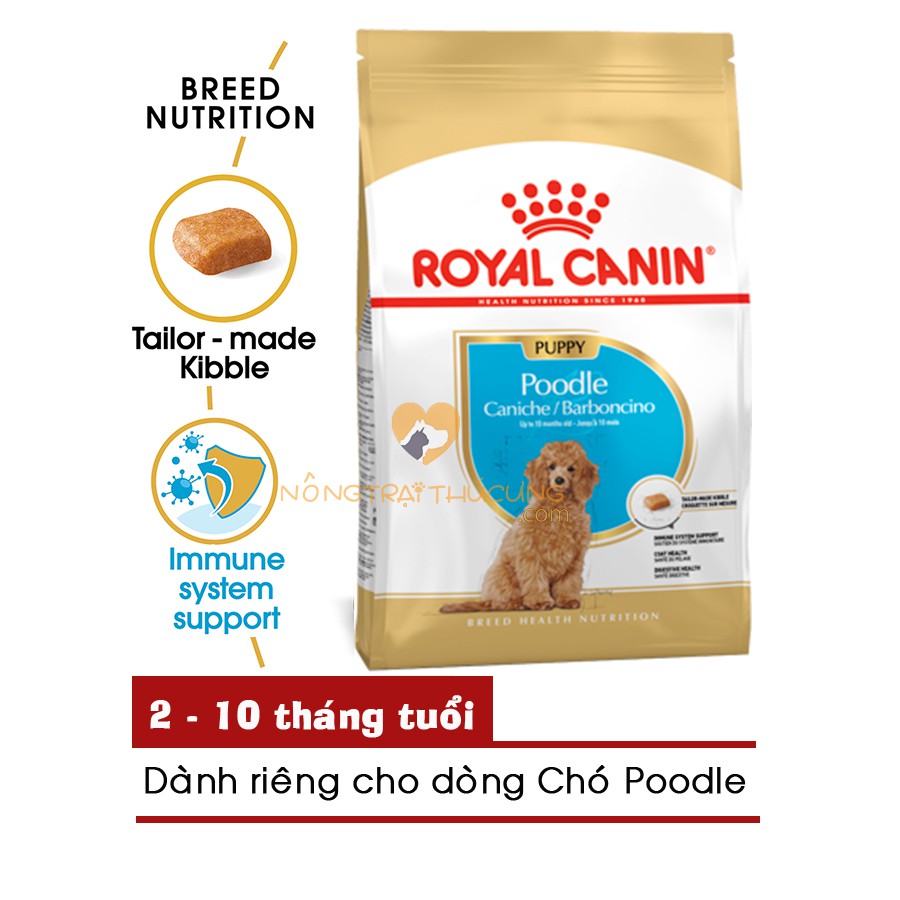 Thức Ăn Chó Con Royal Canin POODLE PUPPY (500g - 1.5kg)