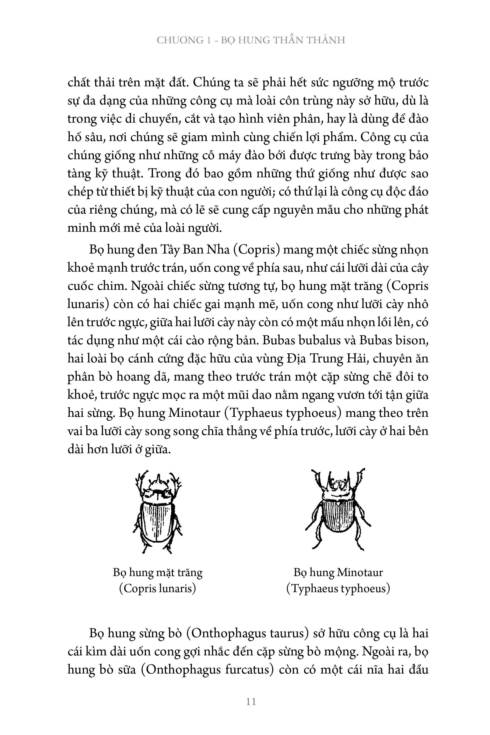 Côn trùng ký tập 1 - Ấn bản đầy đủ