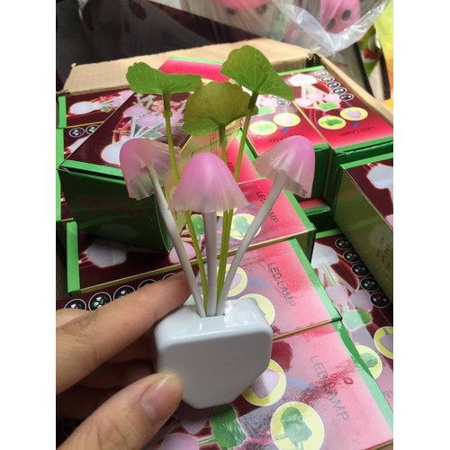 Đèn ngủ cảm ứng ánh sáng Tự động đổi màu