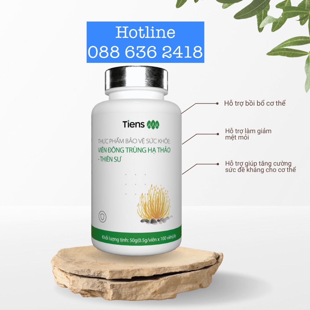 Viên đông trùng hạ thảo Thiên Sư