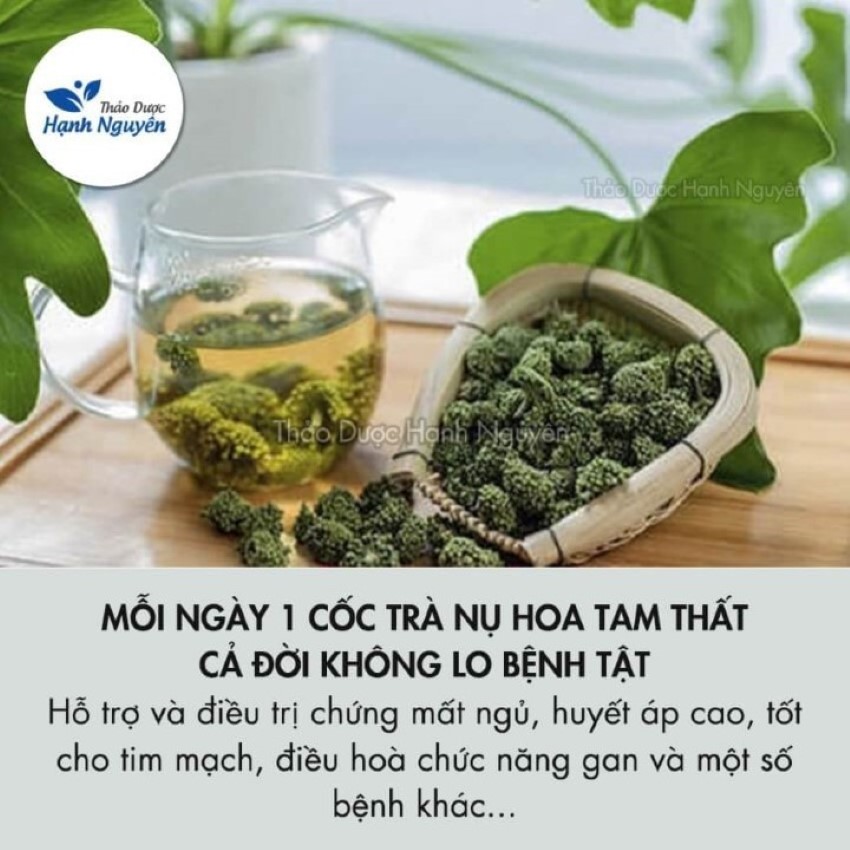 Nụ Hoa Tam Thất SAPA Cao Cấp 500g (Nụ Xanh, Đẹp)
