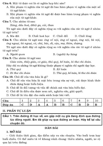 39 Bộ Đề Ngữ Văn 8