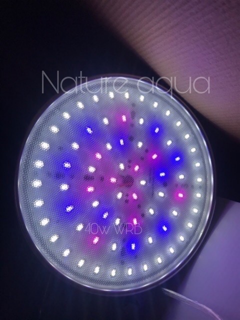[HCM]Đèn Led Xinma 40w WRB