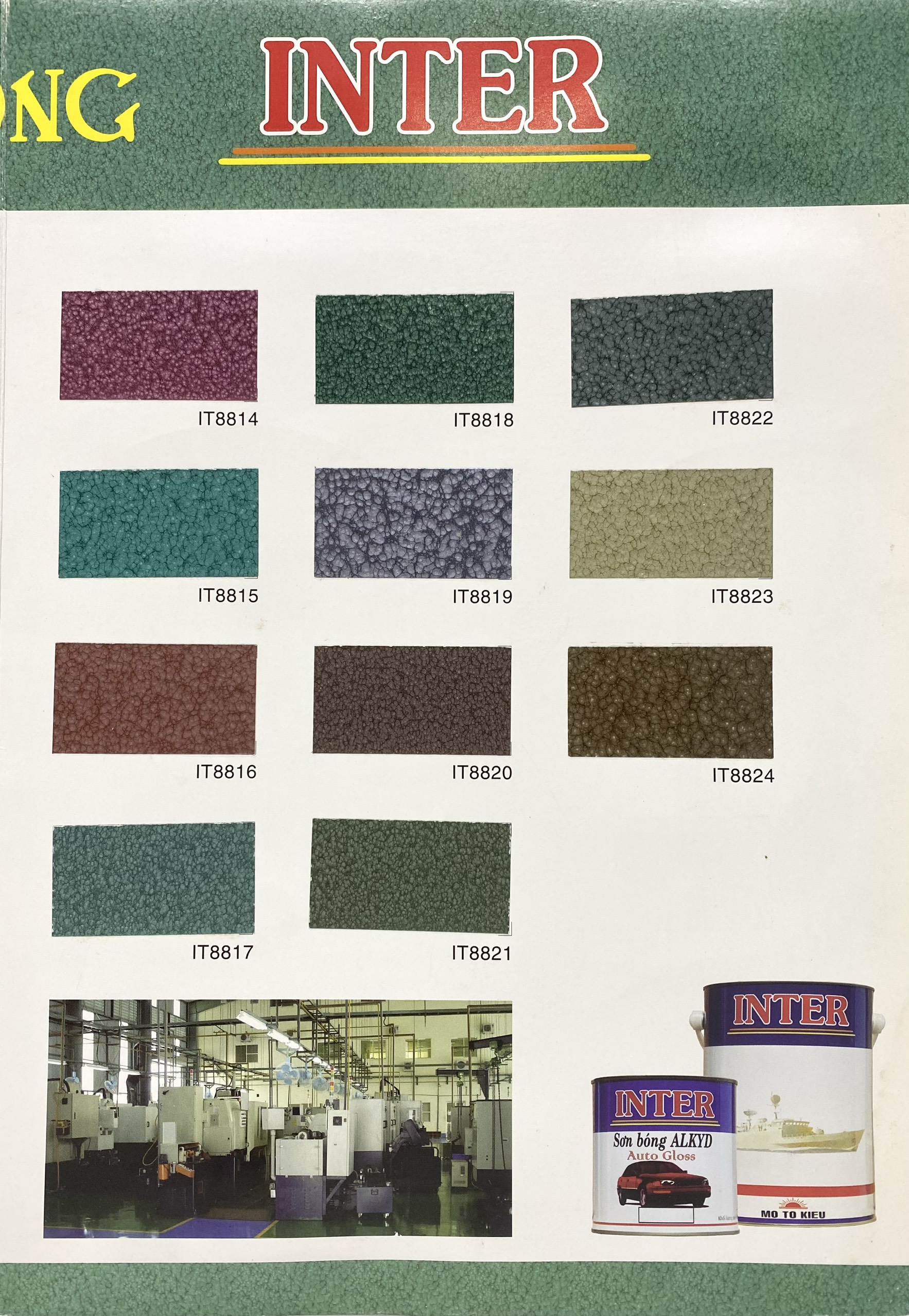 Pattern Paint, Multi-Colored Inter Cotton Pattern Paint, 900 Grams