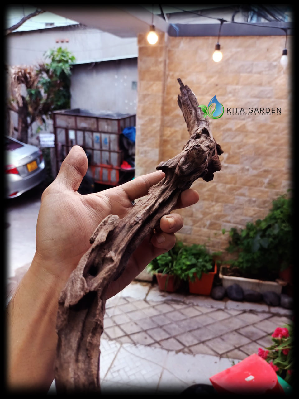 Lũa San Đá Cành (1KG) | Trang trí Thủy Sinh | Size To - Nhỏ