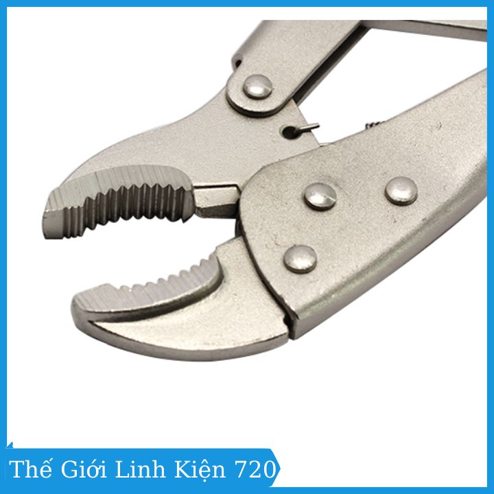 Kìm chết Asaki 10 inch mũi cong