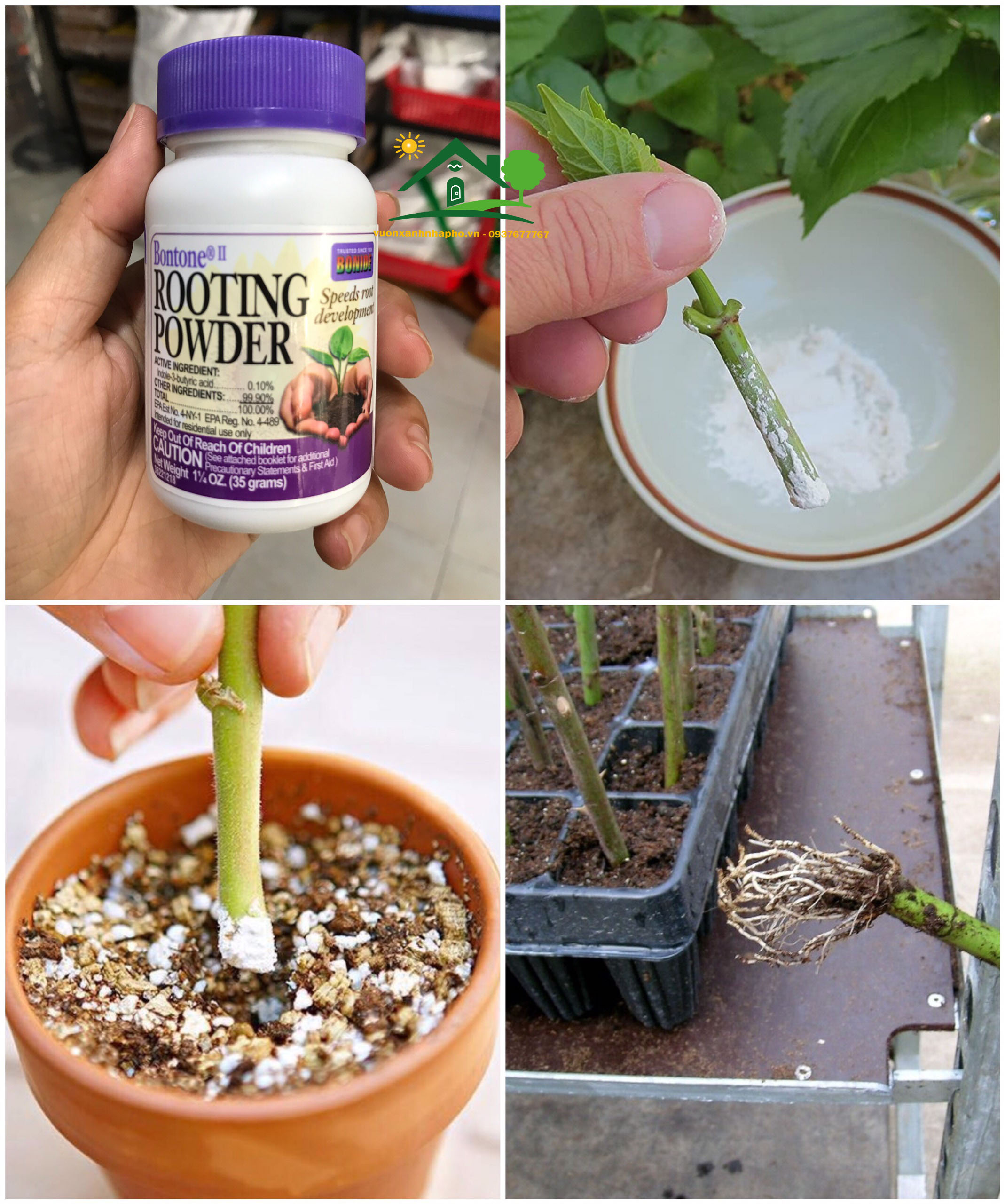 Bột siêu kích rễ Rooting-powder hàng Mỹ lọ 35g