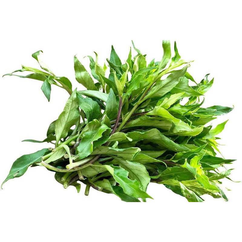 Chậu cây rau rừng