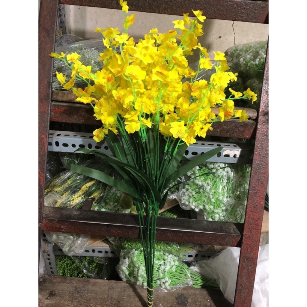 cành lan vũ nữ giả, cành 65cm 3 nhánh