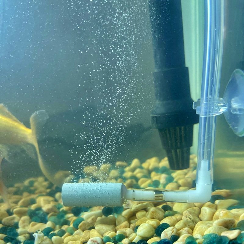 Cốc Sủi CO2 Siêu Mịn Cho Hồ Thuỷ Sinh