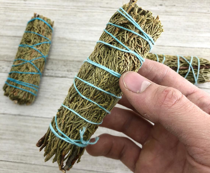 Juniper - Cây Bách Xù - Thảo Mộc Xông Nhà