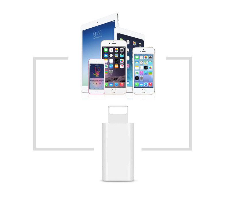 Đầu chuyển đổi Type C sang Iphone