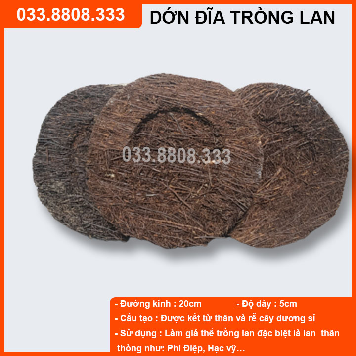 CHẬU DỚN TRÒN TRỒNG LAN (DỚN ĐĨA) - Giá thể trồng lan bền đẹp rẻ