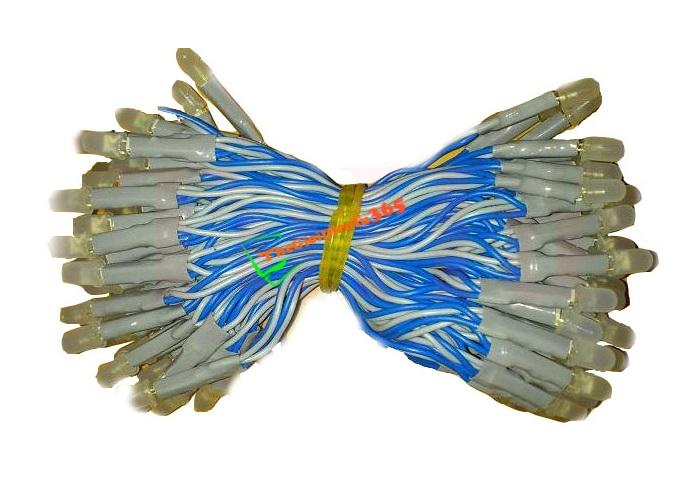 Led liền dây phi 5 màu xanh dương