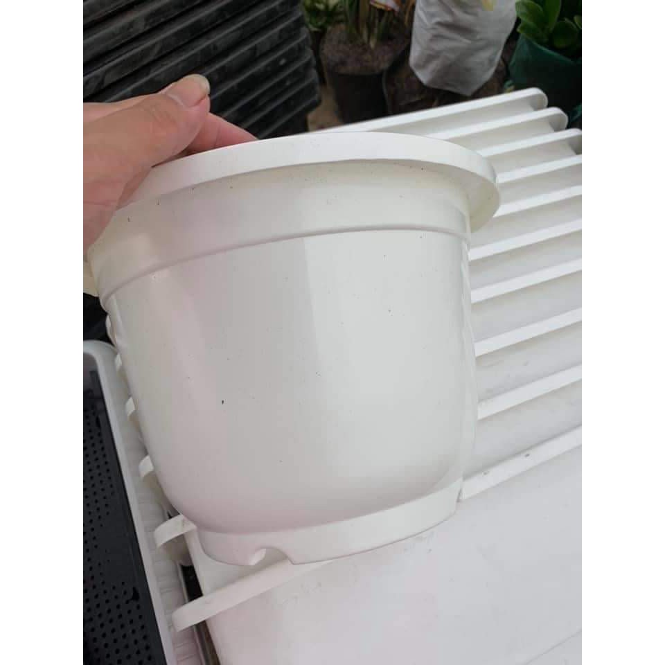 Chậu nhựa tròn trắng ĐK 25cm A280