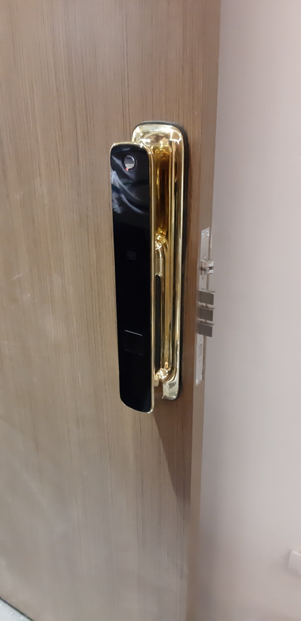 Khóa cửa thông minh TM102