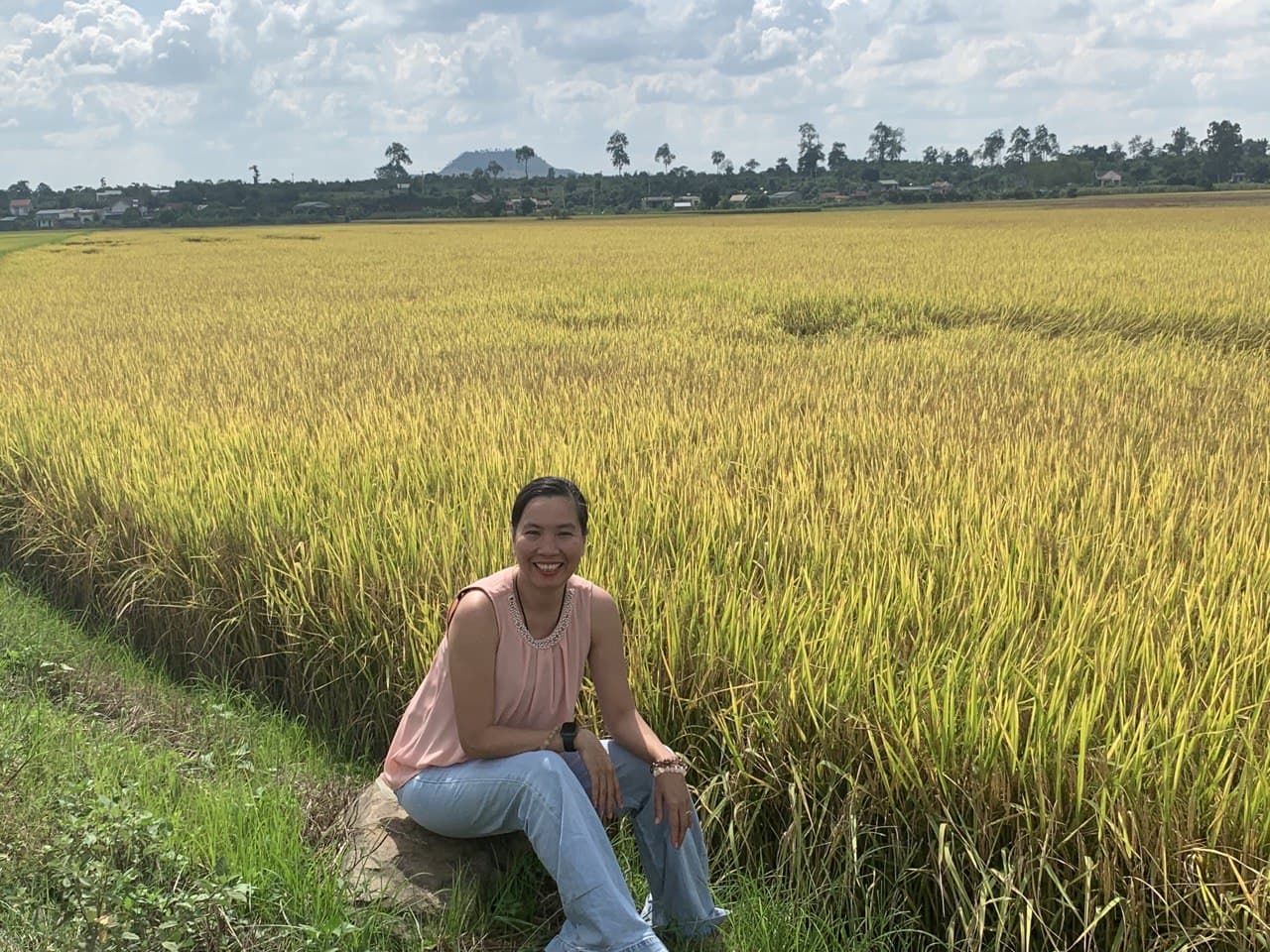 Gạo Đặc Sản Tây Nguyên