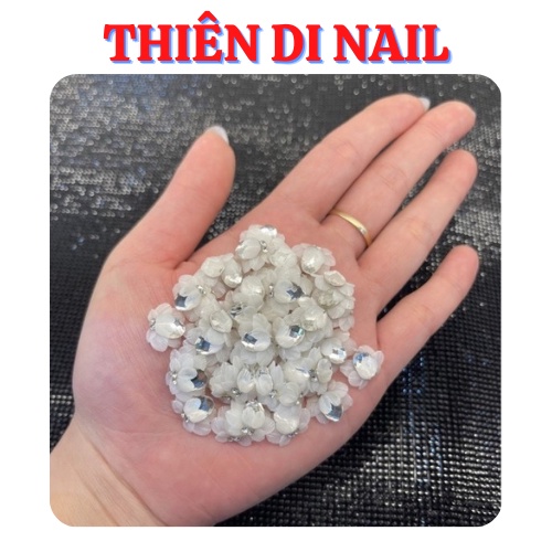 Hoa bột - Hoa cúc đá gắn trang trí móng tay MOON NAIL