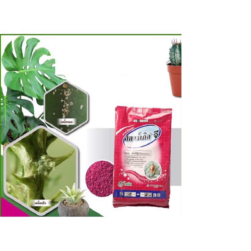 Phân bón Thuoc tím tr ị rệp Starkle G thái lan loại rải gốc hoặc xịt trị các loại côn trùng hại rễ và lá câyTh uốc Tím t rị rệp Starkle-G dùng cho Sen đá, xương rồng- Lưu dẫn, an toàn, hiệu quả - Thái Lan 50gram