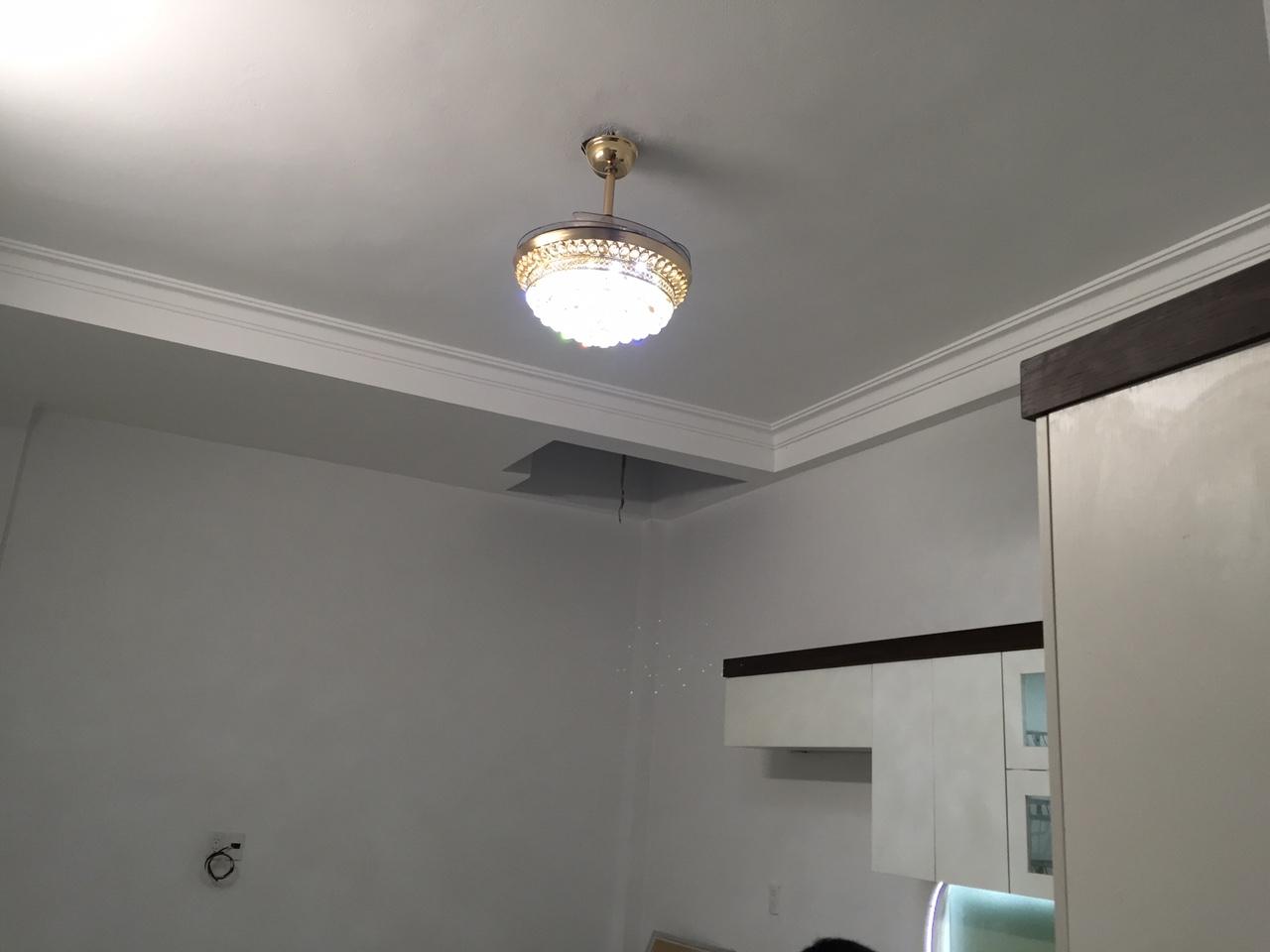 QUẠT ĐÈN TRẦN TRANG TRÍ 3 MÀU CÓ GẮN  PHALE