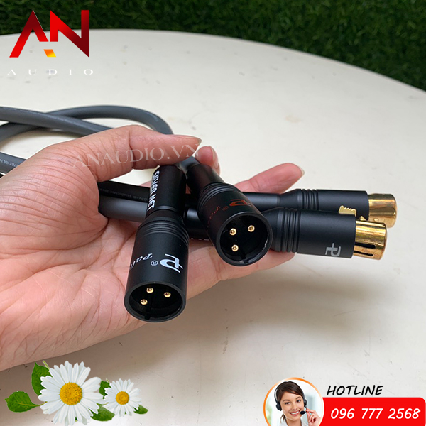 [Giá hủy diệt] [FreeShip] Dây Balance bãi Mỹ Monster - Jack Palic 1m
