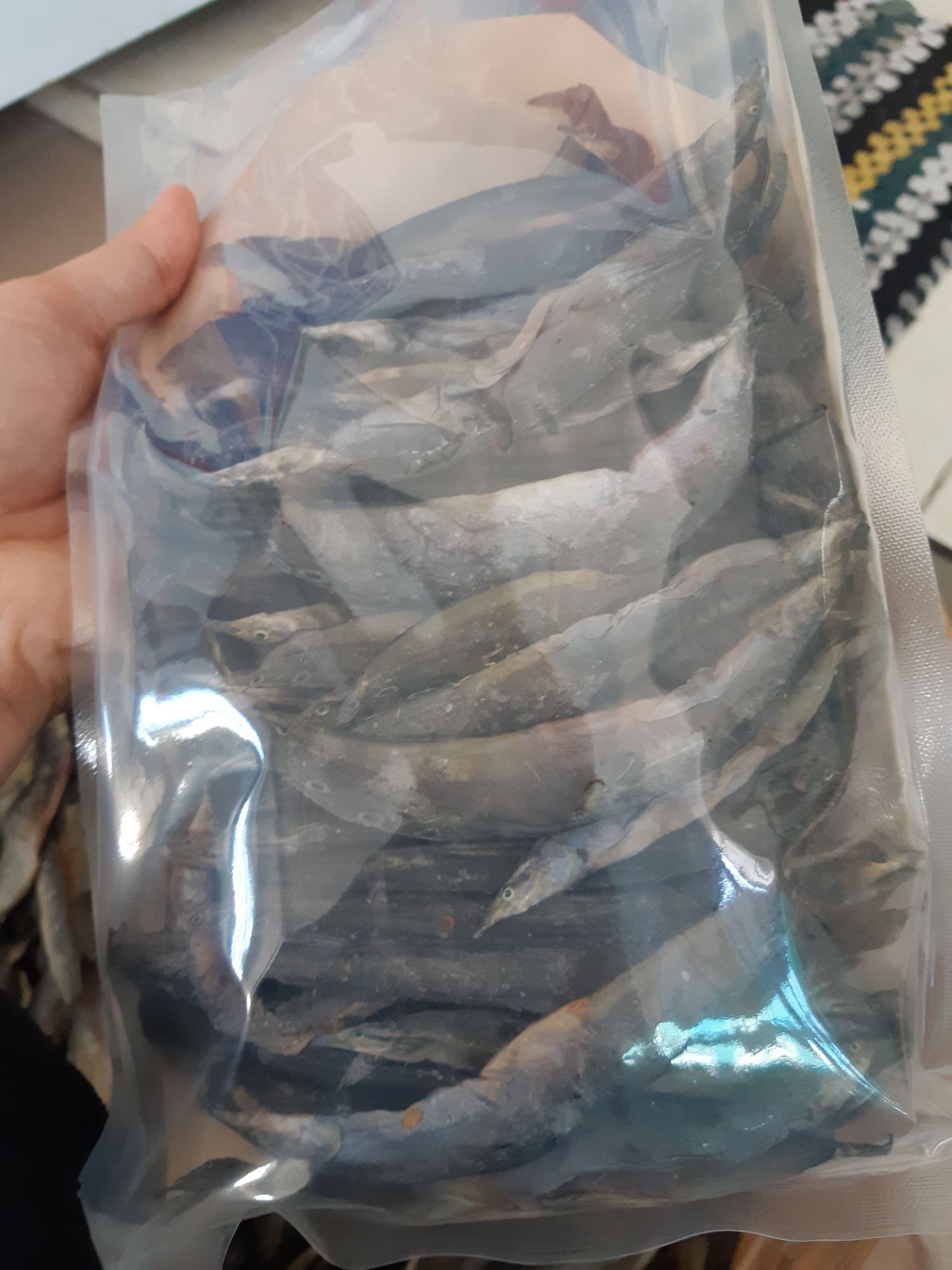 Khô chạch đồng trung 1kg- nhân sâm nước