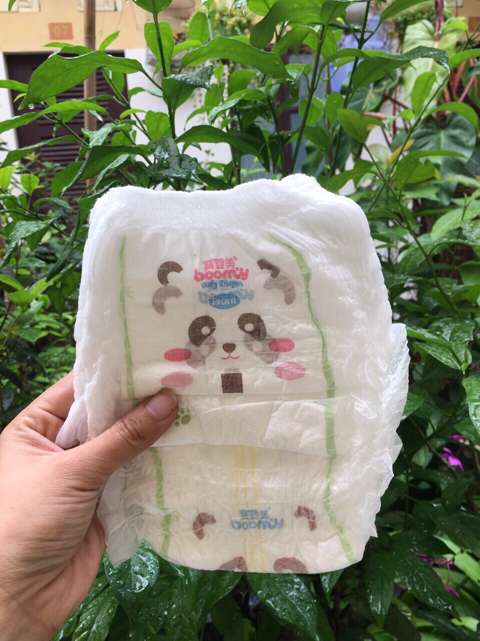 100m bỉm quần hana