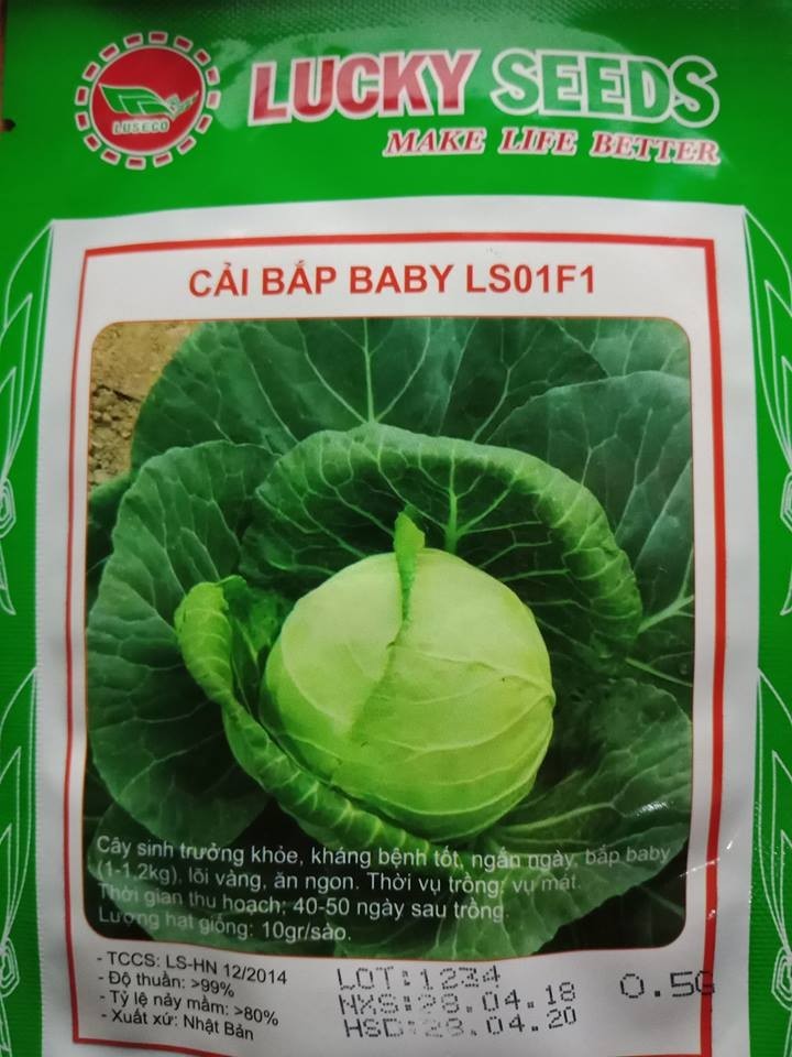 Hạt giống cải bắp baby F1 30 hạt